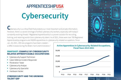 Cybersecurity Factsheet image